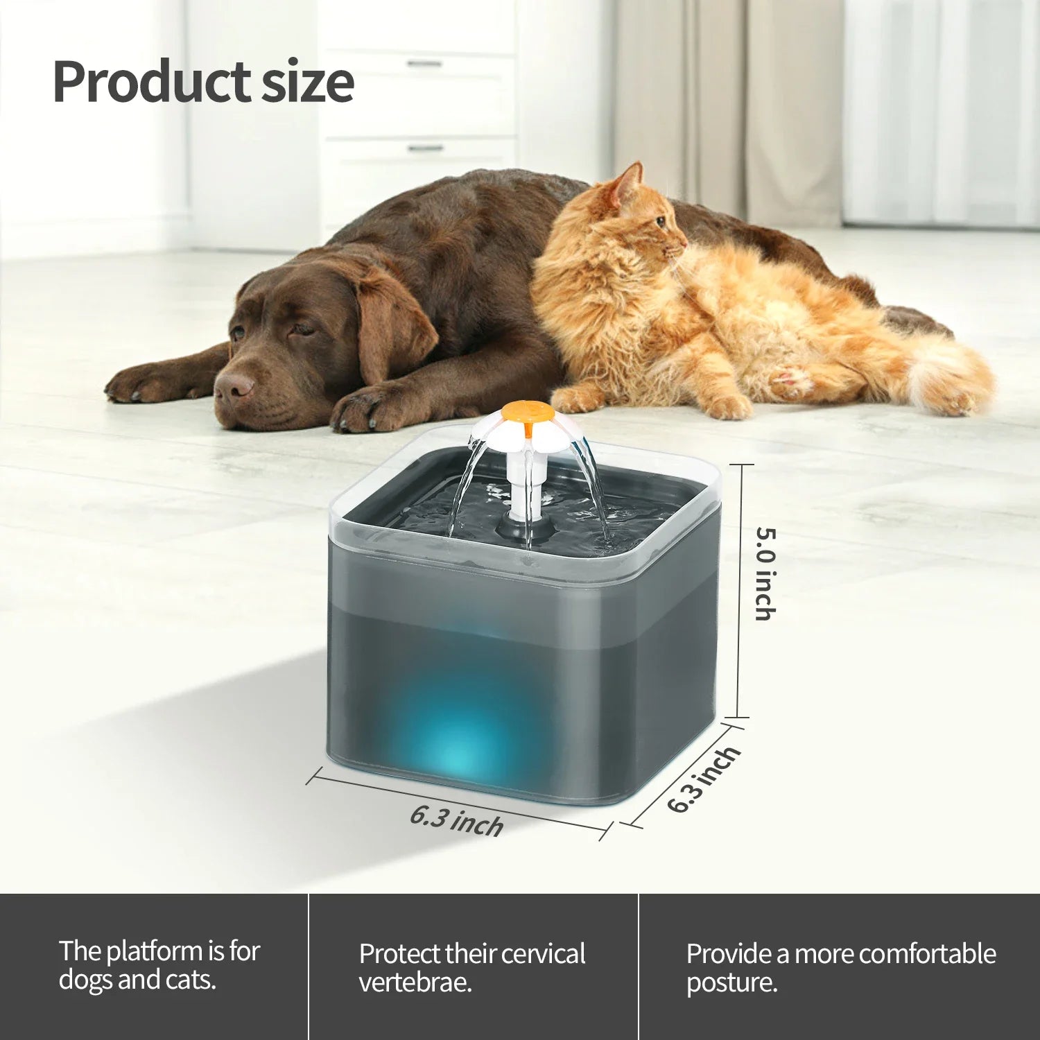 Cat Water Fountain 67oz/2L for Pet Small Dogs Drinking Ultra Silent with LED Lighting Water Dispenser Automatic Drinking